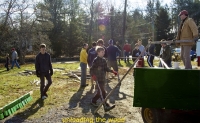 Unloading wood